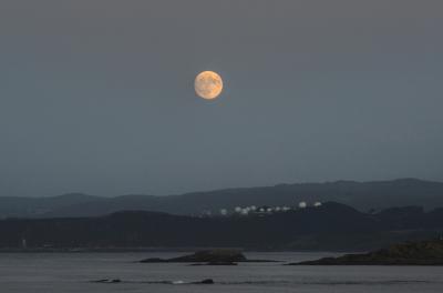 Прикрепленное изображение: MG9A6944_5_Enhancer_w2.jpg